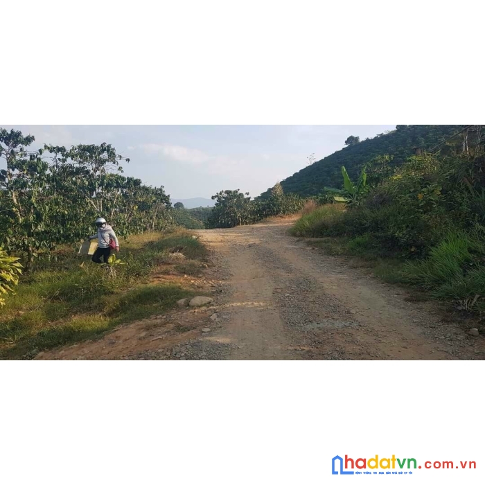 Sở hữu ngay lô đất đẹp vị trí đắc địa tại nằm trên trục đường phạm hồng thái nối dài giao hàm nghi