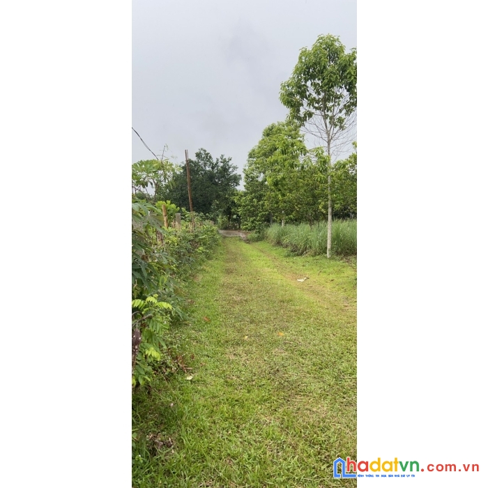 Chính chủ cần bán đất  ngọc mỹ, tân lạc, hoà bình.