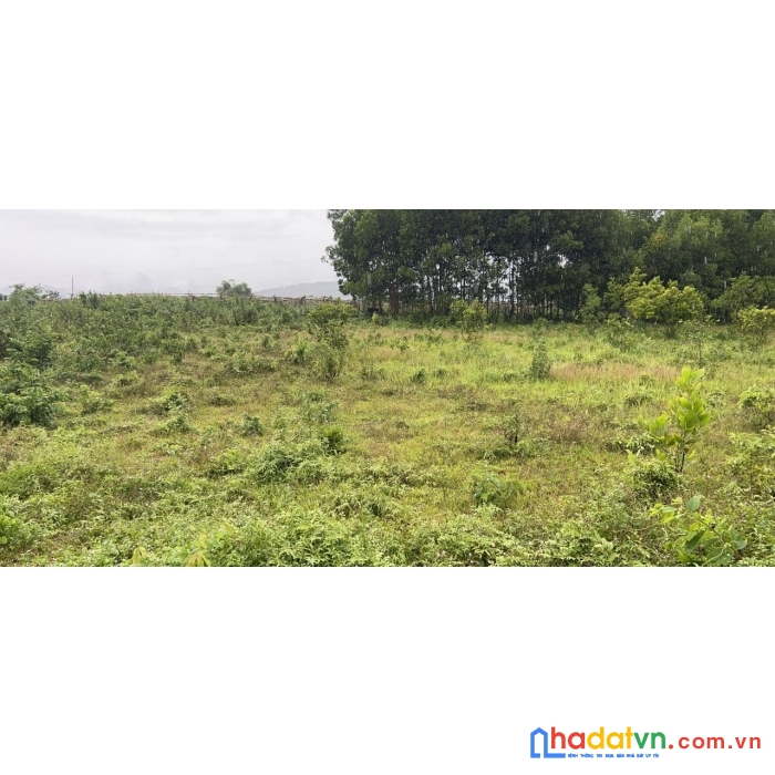 Chính chủ cần bán đất  ngọc mỹ, tân lạc, hoà bình.