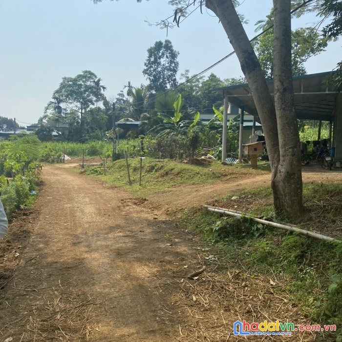 Chính chủ cần bán lô đất tại thôn vũ bình