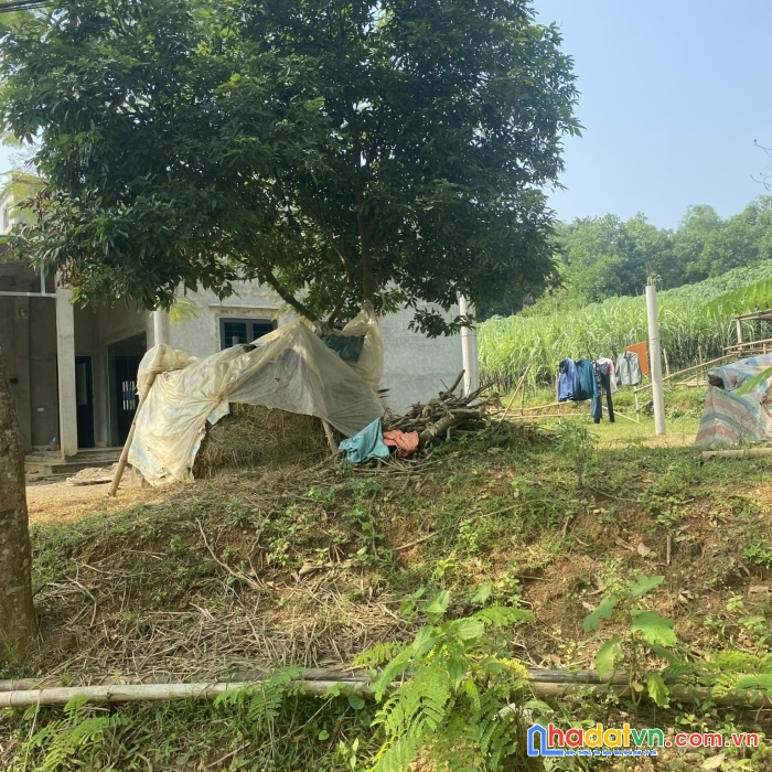 Chính chủ cần bán lô đất tại thôn vũ bình