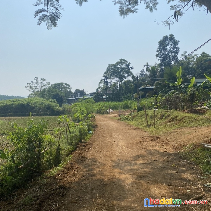 Chính chủ cần bán lô đất tại thôn vũ bình