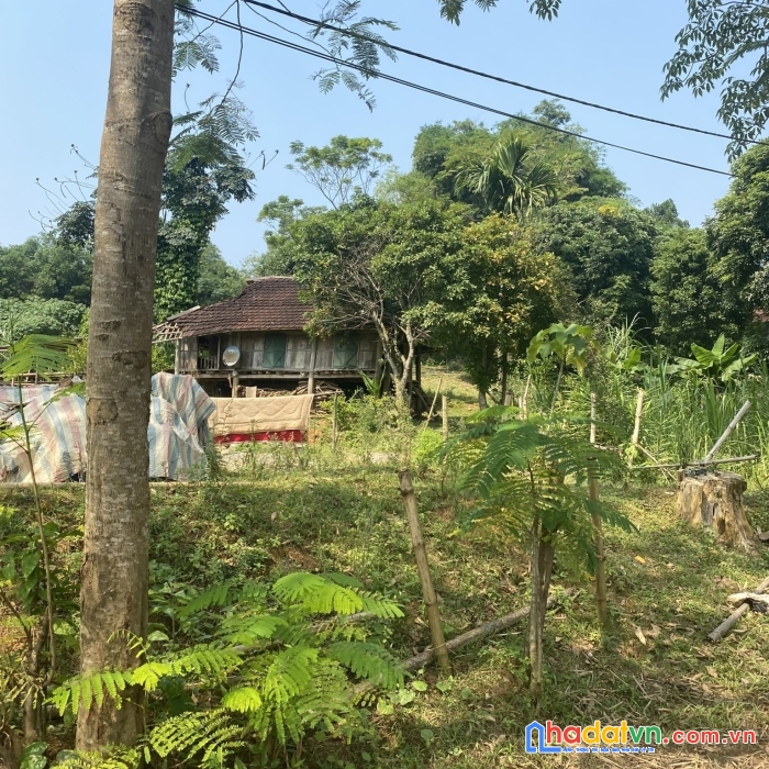 Chính chủ cần bán lô đất tại thôn vũ bình