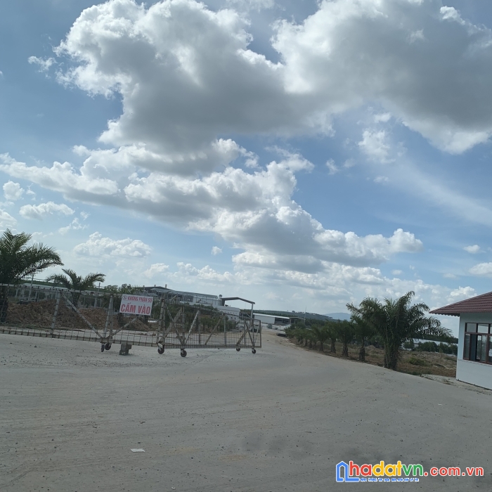 Đất sào sổ hồng riêng đồng nai - giá chỉ 233 triệu/sào - đầu tư an toàn và bảo đảm cho tương lai