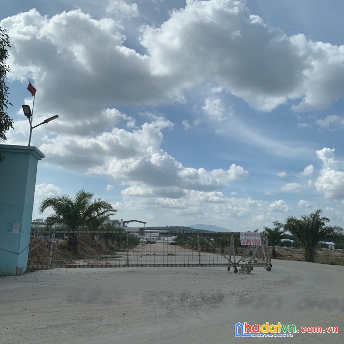 Đất sào sổ hồng riêng đồng nai - giá chỉ 233 triệu/sào - đầu tư an toàn và bảo đảm cho tương lai