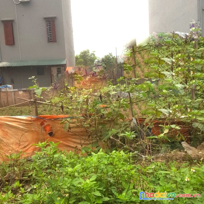 Đất vàng nguyễn quyền, đại phúc kinh doanh nhỉnh 4 tỷ
