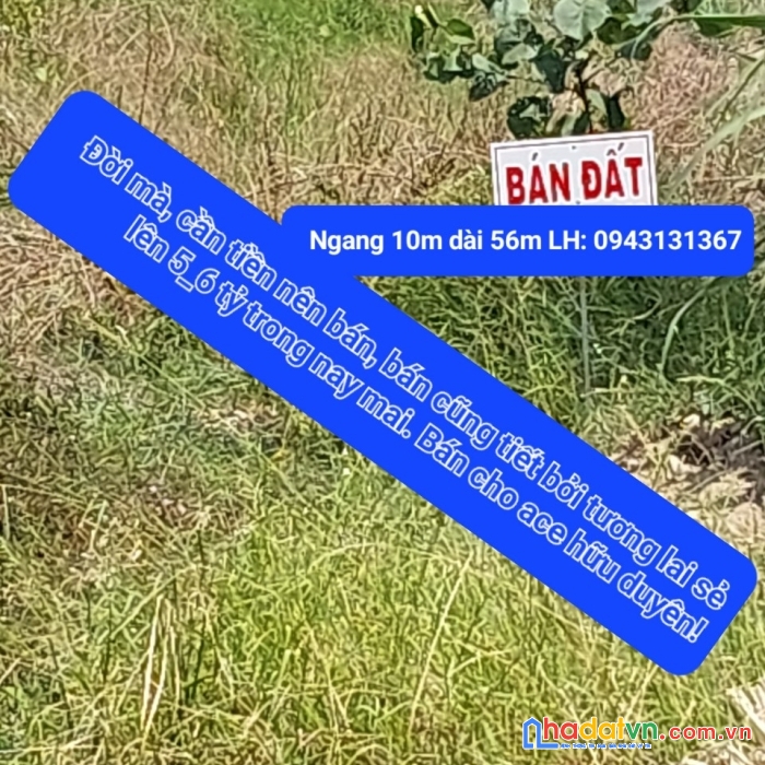 Chính chủ cần bán đất khu công nghiệp. u minh, cà mau
