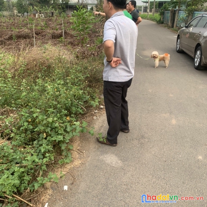 600m2 đất thiện tân, đường nhựa 5m thông, có thổ cư chỉ 1ty100 triệu