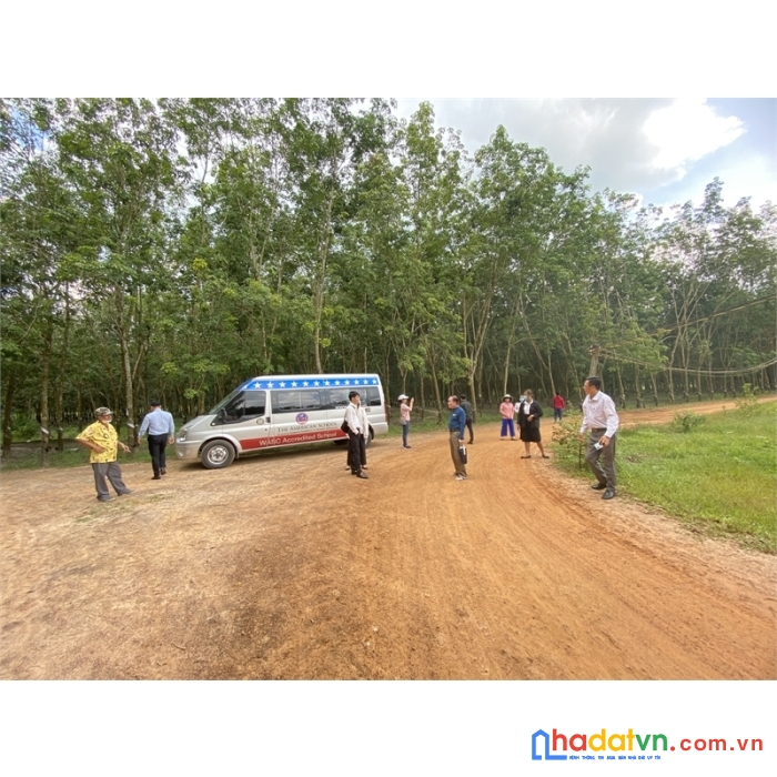 Bán đất 2 mặt tiền thạnh bình, tân biên, tây ninh đã phân 15 lô sổ hồng
