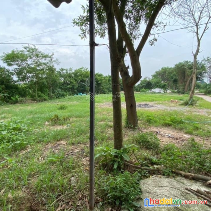 Chuyển nhượng dự án trang trại-nghỉ dưỡng huyện thuận thành - thích hợp đầu tư