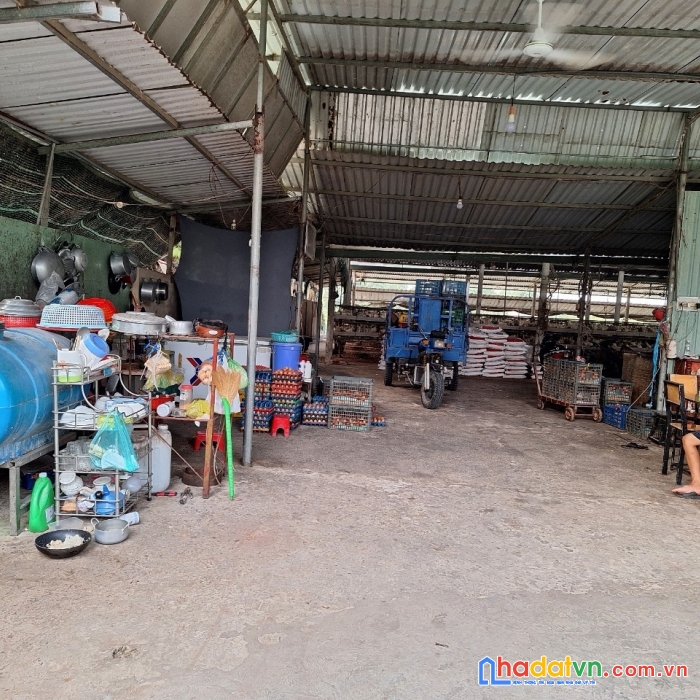 Chính chủ bán nhanh lô đất đẹp vị trí đắc địa tại xã long bình điền, chợ gạo, tiền giang