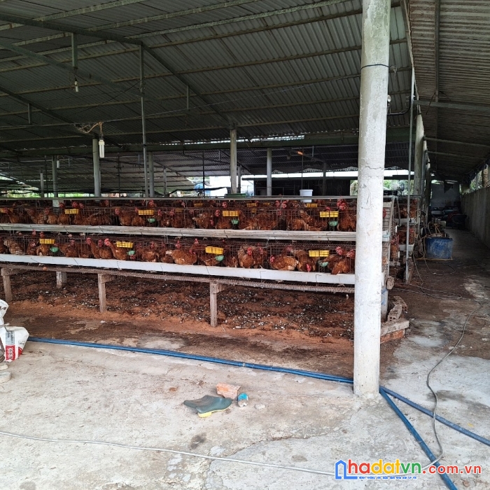 Chính chủ bán nhanh lô đất đẹp vị trí đắc địa tại xã long bình điền, chợ gạo, tiền giang