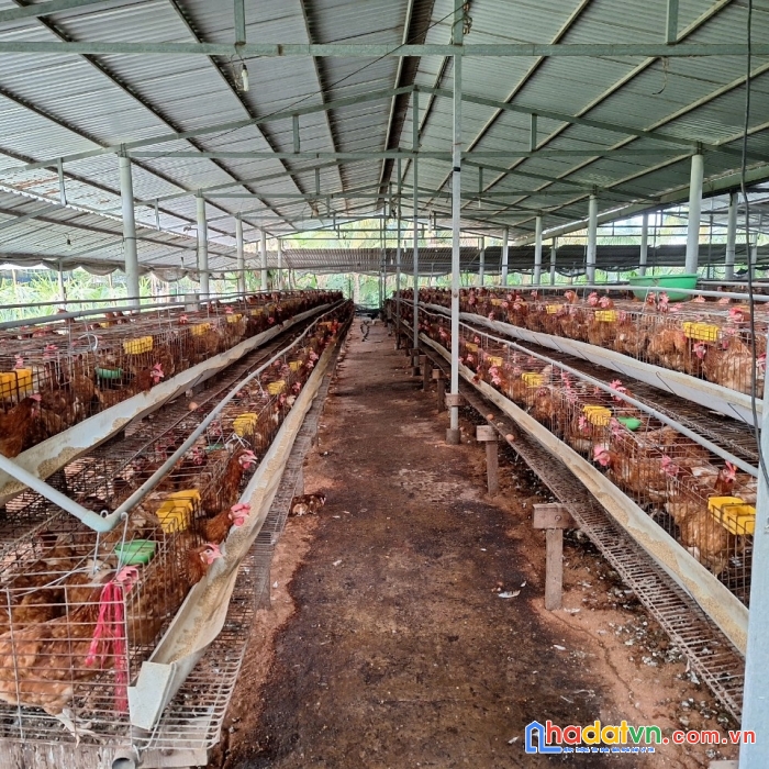 Chính chủ bán nhanh lô đất đẹp vị trí đắc địa tại xã long bình điền, chợ gạo, tiền giang