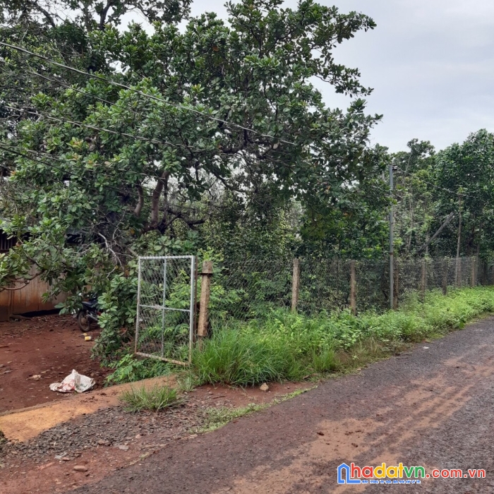 Kẹt tiền cần bán lô đất đẹp bình phước