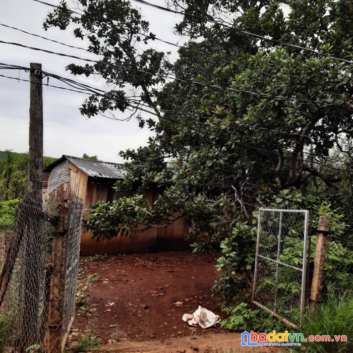 Kẹt tiền cần bán lô đất đẹp bình phước