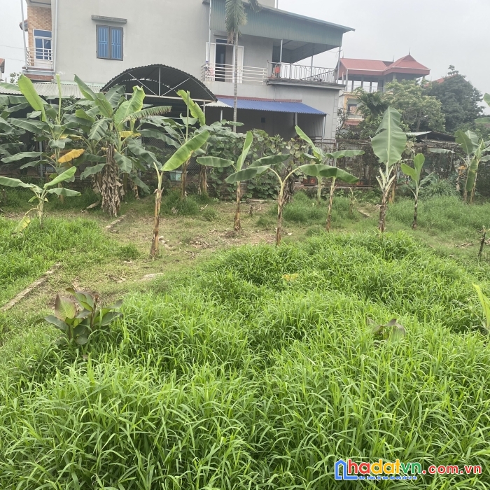 Cần bán mảnh đất 95.6m bắc hạ - quang tiến, đường oto vào đất, sát khu tđc bắc hạ