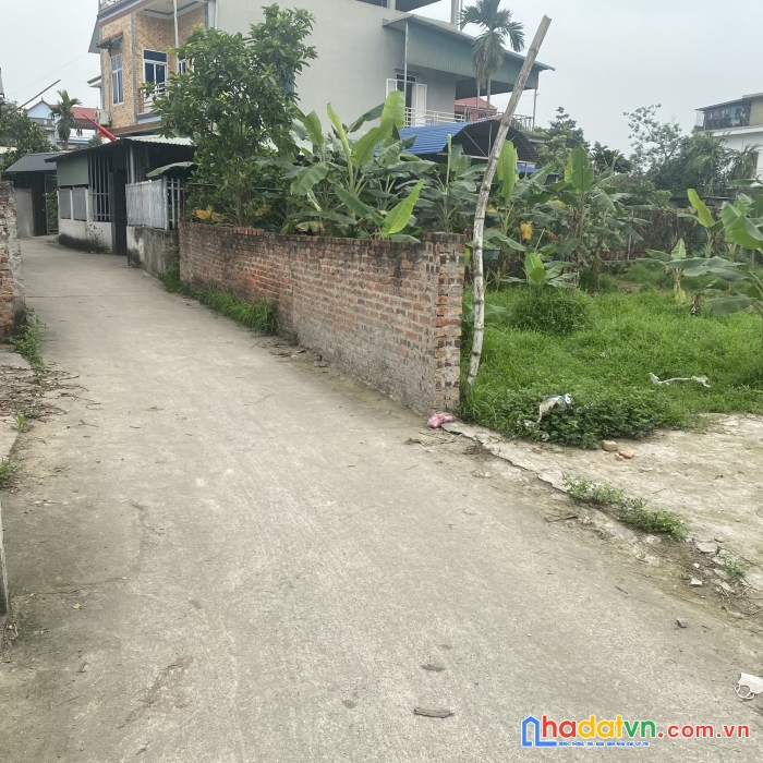 Cần bán mảnh đất 95.6m bắc hạ - quang tiến, đường oto vào đất, sát khu tđc bắc hạ