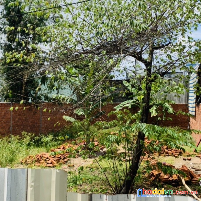 Sở hữu ngay lô đất đẹp vị trí đắc địa tại khu vực 7, an bình, ninh kiều - cần thơ