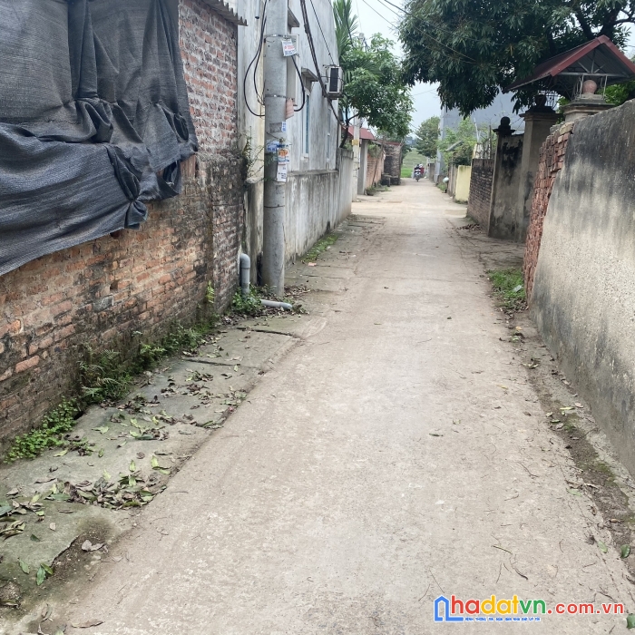 Hàng xóm bán 65m² xuân lễ-tân dân - sóc sơn - hà nội đường oto vào tận đất