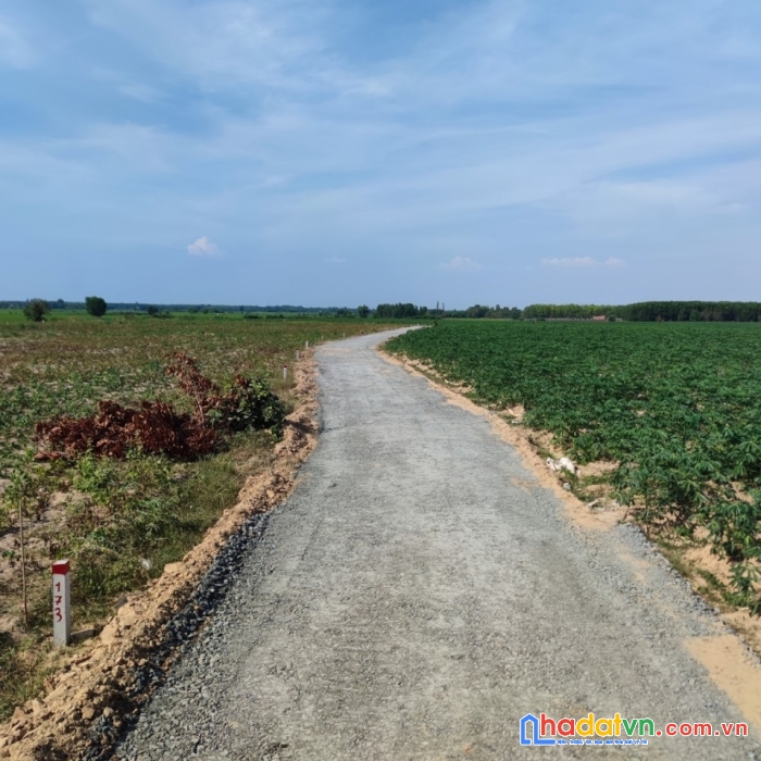 Ưu đãi đặc biệt - 3550m2 đất vườn sẵn sổ sẵn đường chỉ 280 triệu/sào