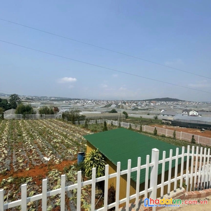 ( hot hot ) cần bán gấp nhà đẹp tại thái phiên đà lạt 200m2 giá chỉ 2.6 tỷ