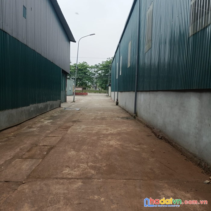 Cho thuê kho thanh trì từ 500m-1000m cont đỗ - độc lập - phù hợp sản xuất, kho pha sơn...