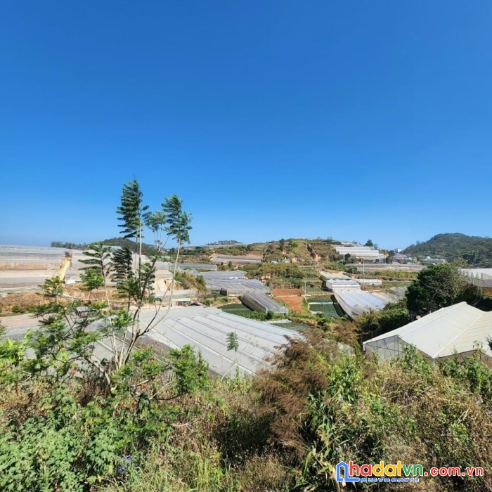 Hàng ngộp cho nhà đầu tư đây ạ! giảm sock bán gấp lô đất view đẹp 1400m2 giá chỉ còn 9 tỷ đường