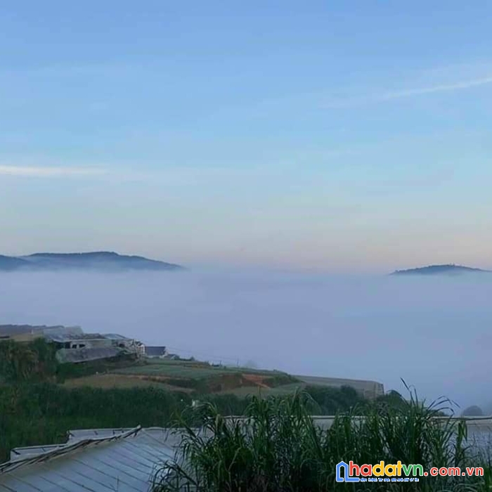 Hàng ngộp cho nhà đầu tư đây ạ! giảm sock bán gấp lô đất view đẹp 1400m2 giá chỉ còn 9 tỷ đường