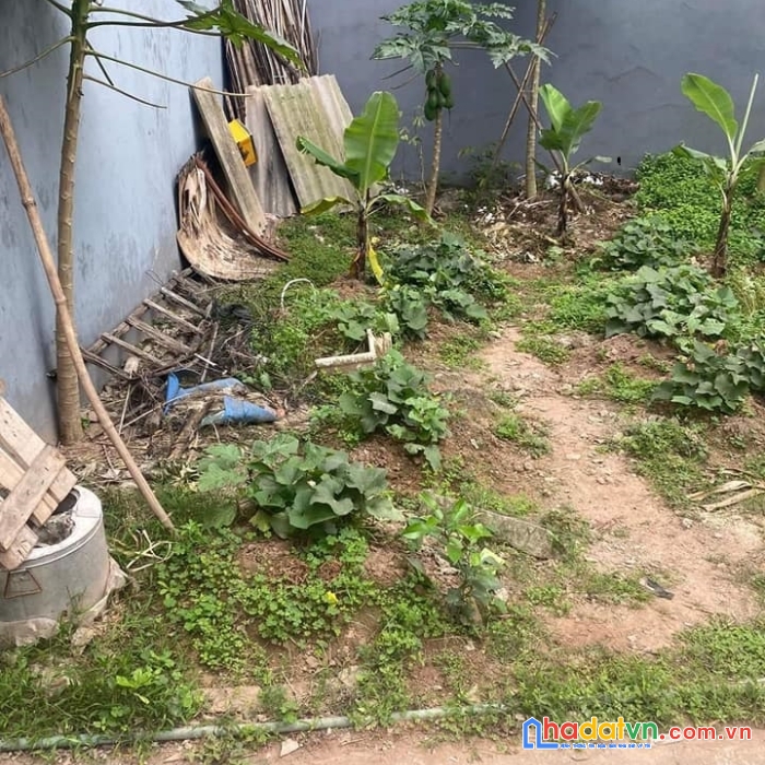 Bán đất phúc thành, biên giang, hà đông, 50m2, mt4m, ô tô gần ql6, nhỉnh 2 tỷ