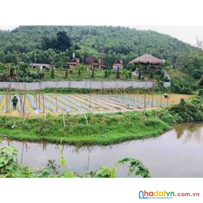 Do chuyển đổi về 1 khu để tiện quản lý công ty em chuyển nhượng lại homestay sẵn khuôn viên