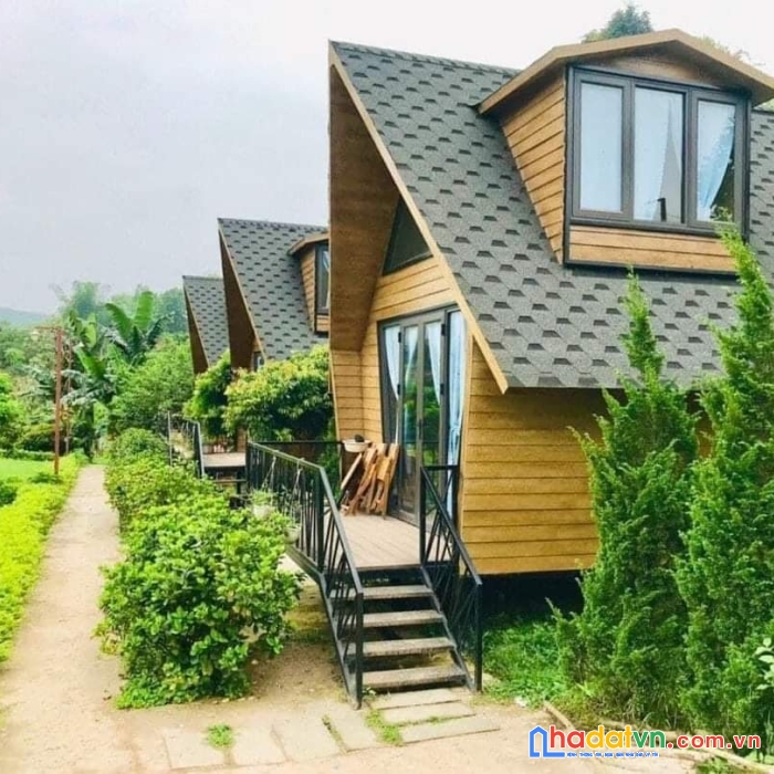 Do chuyển đổi về 1 khu để tiện quản lý công ty em chuyển nhượng lại homestay sẵn khuôn viên