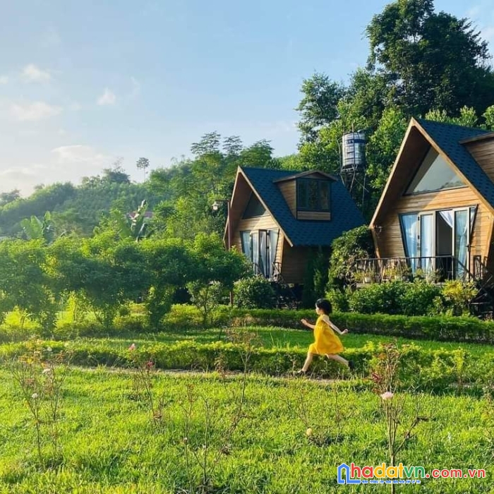 Do chuyển đổi về 1 khu để tiện quản lý công ty em chuyển nhượng lại homestay sẵn khuôn viên