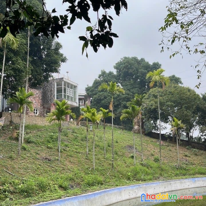 Chính chủ em cần bán hơn 10000m 800m đất ở sãn khuôn viên biệt thự, ao cá, bể bơi, sân tennis, bám
