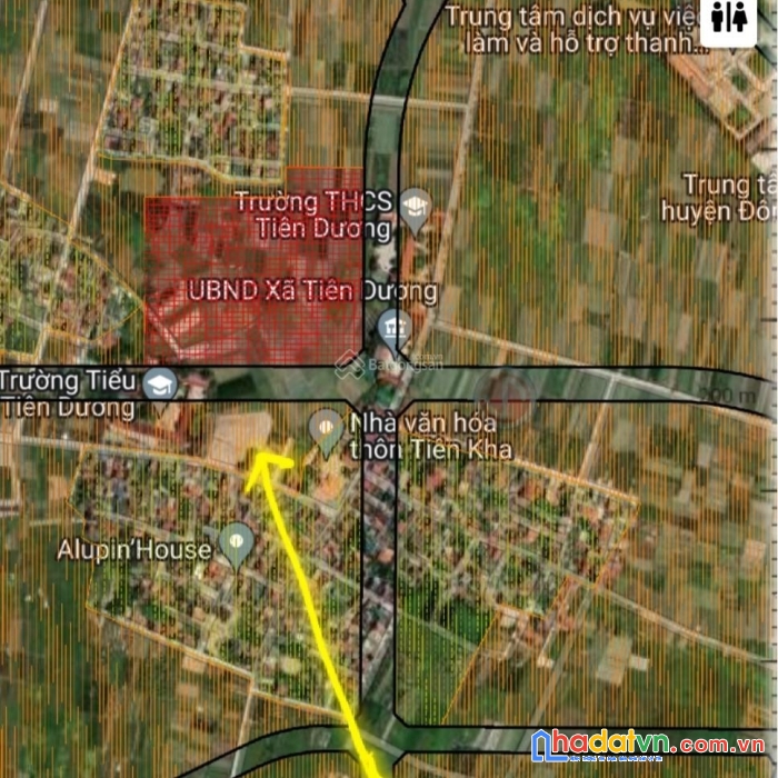 Bán đất đấu giá x5 trung oai tiên dương đông anh đường 40m