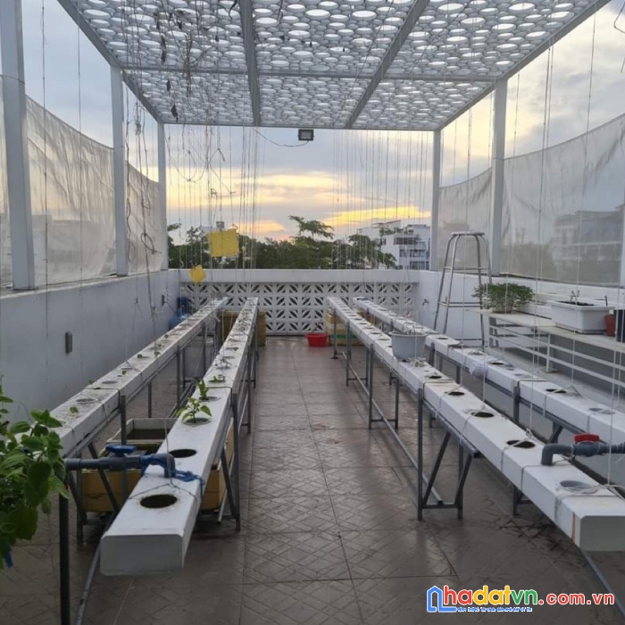 Bán chdv hxh có sẵn thu nhập gần 100 triệu hoàng văn thụ sát phú nhuận nhỉnh 17 tỷ tl tốt