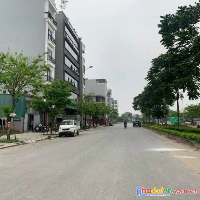 Bán đất đấu giá dương nội, hà đông, 50m2, mt4m, ô tô kinh doanh giá 6 tỷ