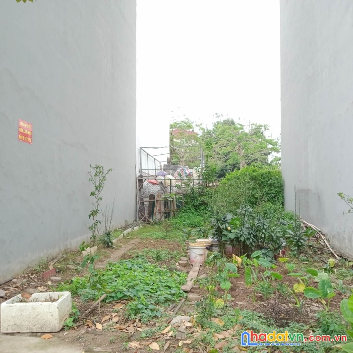 Bán đất đấu giá dương nội, hà đông, 50m2, mt4m, ô tô kinh doanh giá 6 tỷ