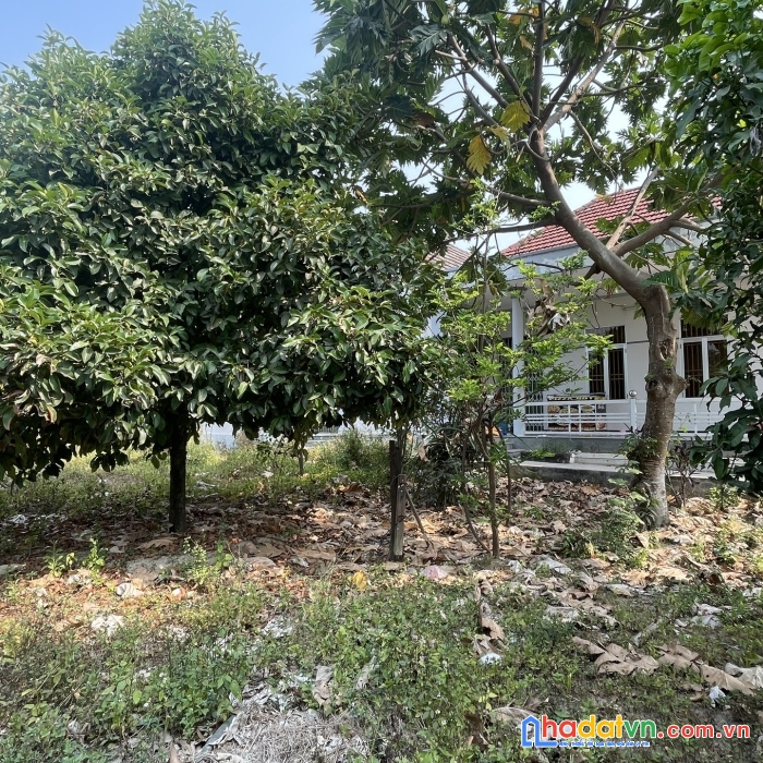 Bán nhà biệt thự vườn thị trấn diên khánh 1200m2