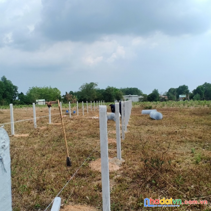 Bên em nhận cắm trụ ranh, trụ phân lô, trụ rào kéo b40, kéo kẻm gai, xây rào.... vv