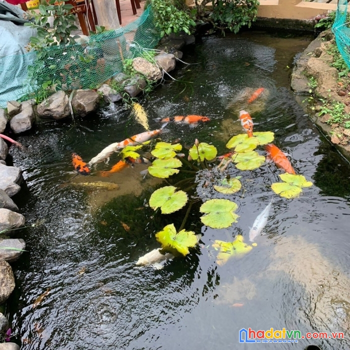 Bán villa siêu đẹp phường 5,tp đà lạt_lh: 0981.125.798