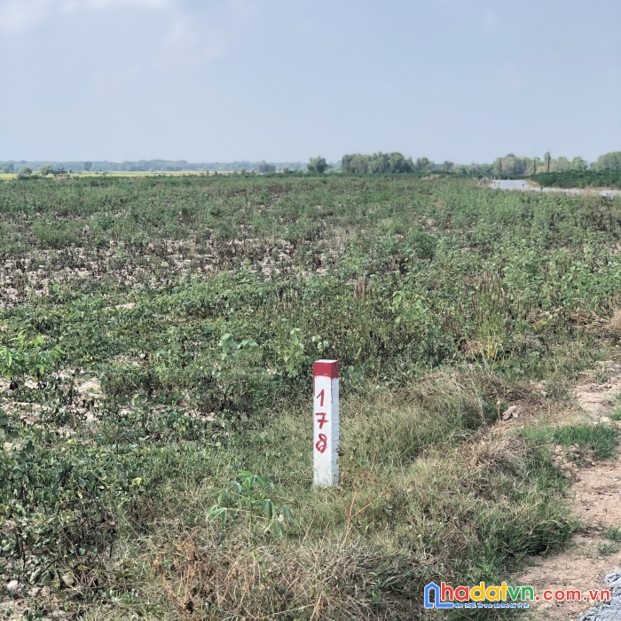 Đặt quyền đất vàng sổ riêng - giá cực ưu đãi chỉ 3xx triệu/sào cho khách mua đầu tiên trong tuần