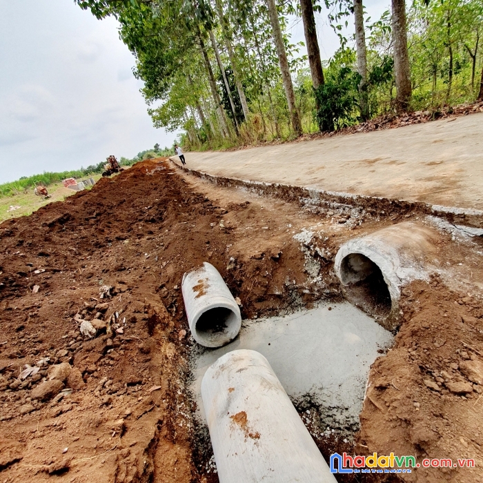 Chủ ngộp bán nhanh lô đất gần kcn dầu giây,thống nhất,đồng nai. chỉ 420 triệu sang tên ngay,tặng