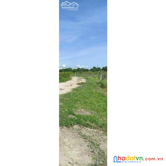 Chính chủ cần bán lô đất đang trồng cây ăn quả vị trí đẹp ngay hàm chính - hàm thuận bắc - bình
