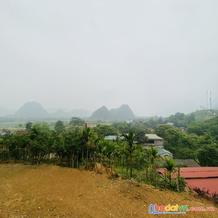 Bán gấp lô đất có diện tích 1,1ha trong đó có 200m2 thổ cư có vị trí cực đẹp sẵn vườn cây, ao cá