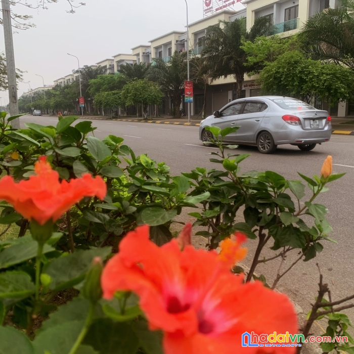 Bán nhà trục chính 56m, diện tích 120m2 khu đô thị vsip kih doanh tốt, sổ đỏ trao tay
