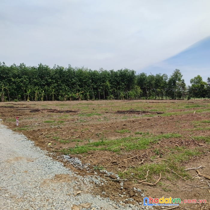 5xx triệu sở hữu 1460m2 đất vườn sổ hồng - vị trí đắc địa để đầu tư