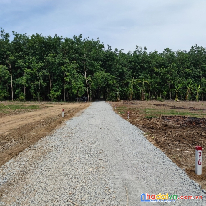 5xx triệu sở hữu 1460m2 đất vườn sổ hồng - vị trí đắc địa để đầu tư