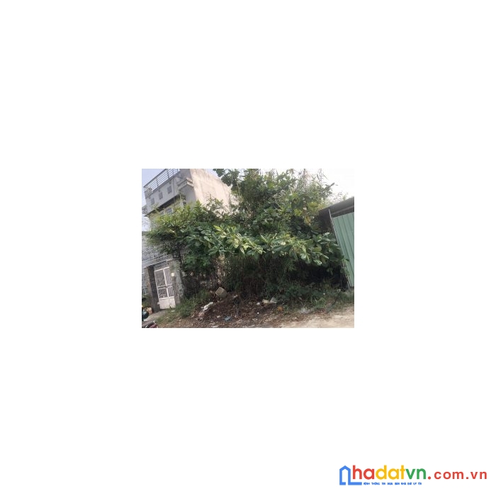 Chính chủ cần bán lô đất mặt tiền vị trí đẹp tại xã phú xuân, huyện nhà bè