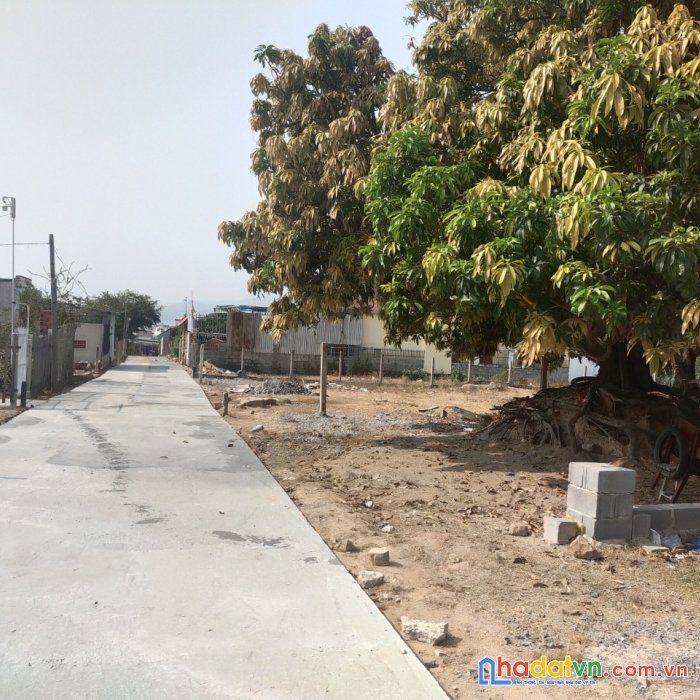 Sở hữu ngay lô đất đẹp vị trí đắc địa tại phường cam lộc, tp cam ranh, khánh hòa