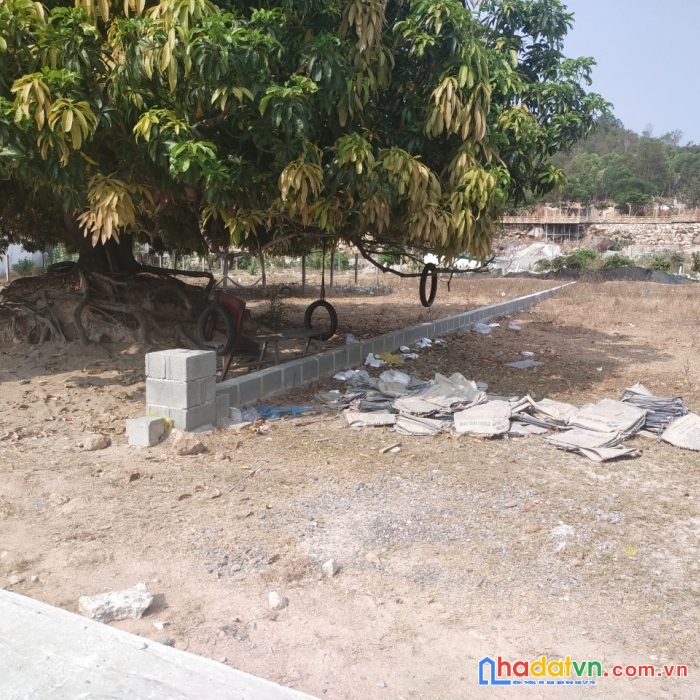 Sở hữu ngay lô đất đẹp vị trí đắc địa tại phường cam lộc, tp cam ranh, khánh hòa